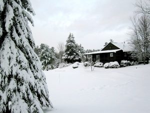 Early snow - Angie MacLeod