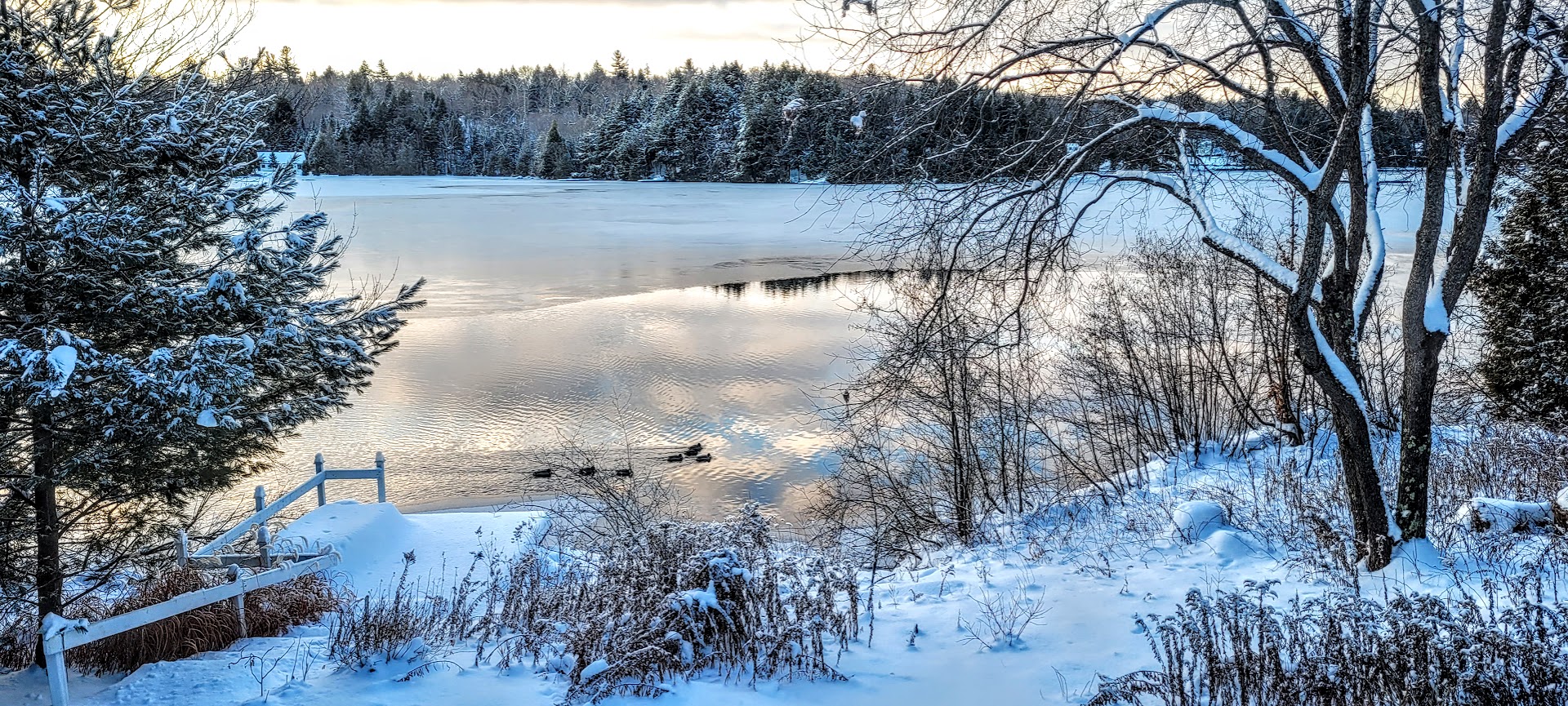 Les changements climatiques réduisent-ils la durée du couvert de glace de nos lacs?